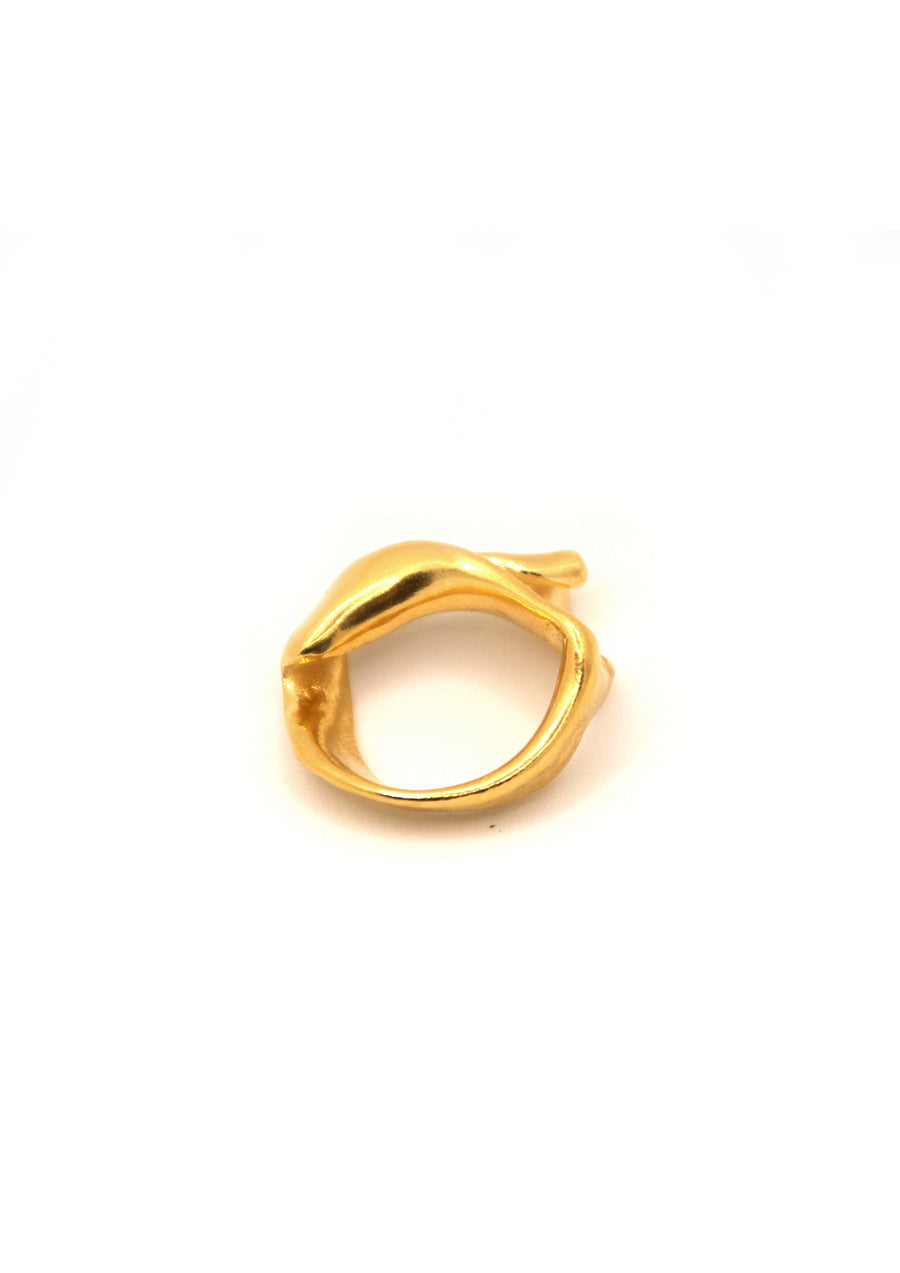 Smooth Fragmented Shell Ring