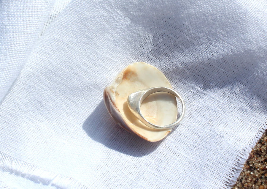 Venus Clam Ring