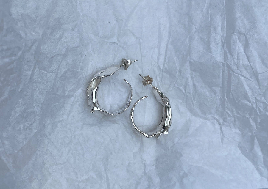 Large Fragmented Shell Hoops