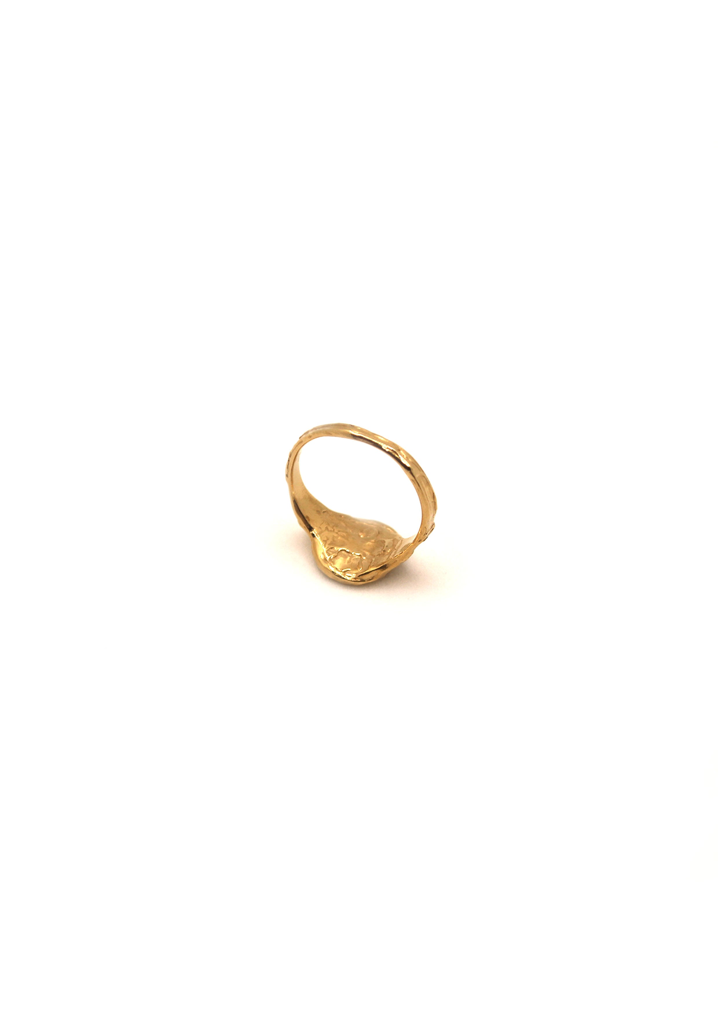The Puddle Ring – Hannah Bourn