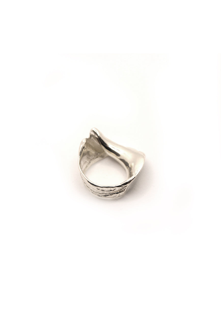 Large Fragmented Shell Ring